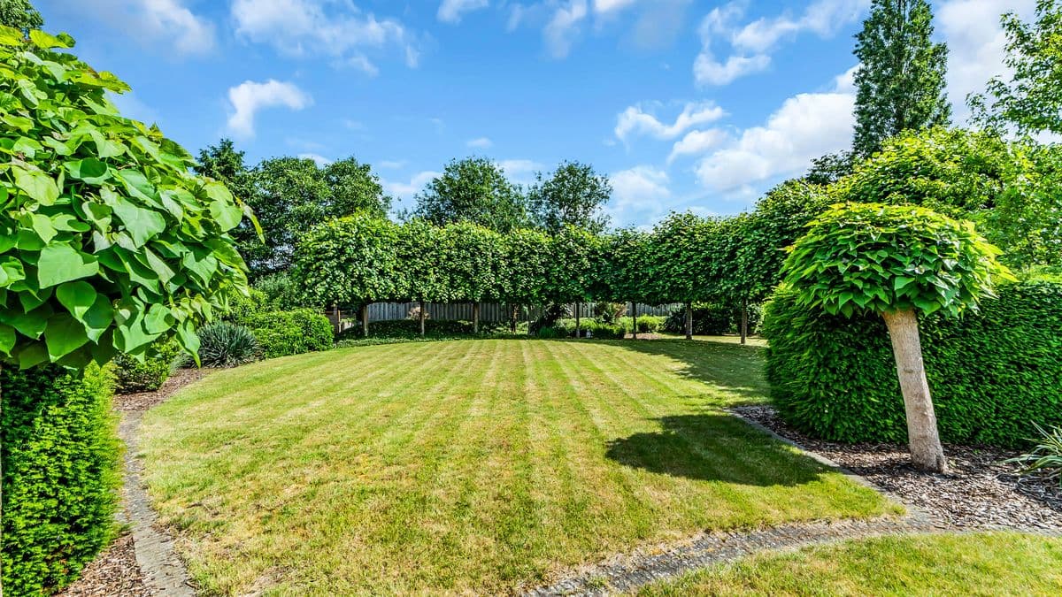 Huis Beringen foto 9